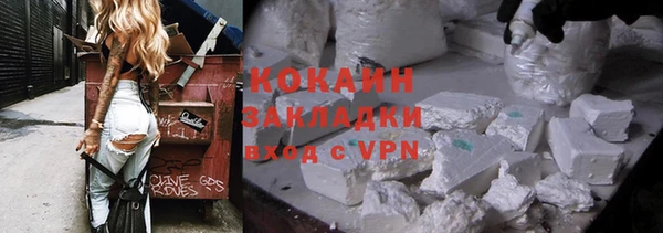 индика Абаза