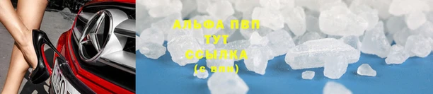 мет Алексин