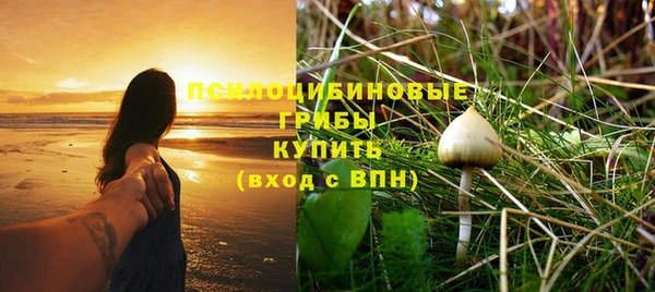 индика Абаза