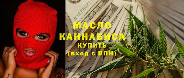 индика Абаза
