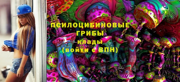 мет Алексин